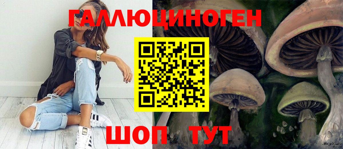 Псилоцибиновые грибы MAGIC MUSHROOMS  Вход с VPN  Павловский Посад 