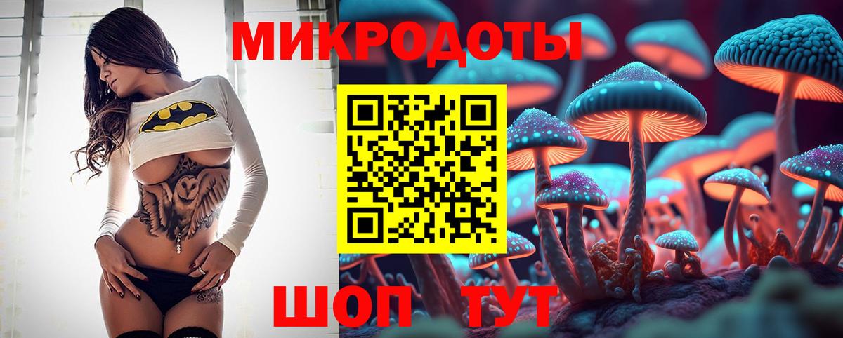Псилоцибиновые грибы Psilocybine cubensis Павловский Посад